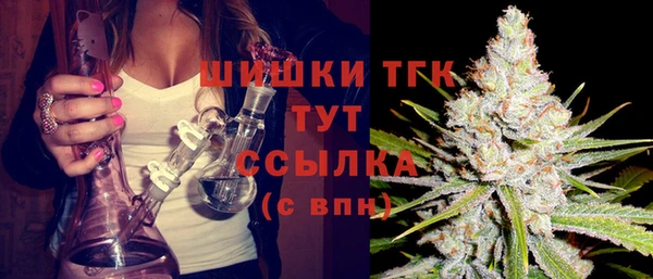 твердый Горнозаводск