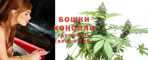 твердый Горнозаводск