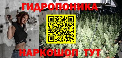 ПСИЛОЦИБИНОВЫЕ ГРИБЫ Краснознаменск