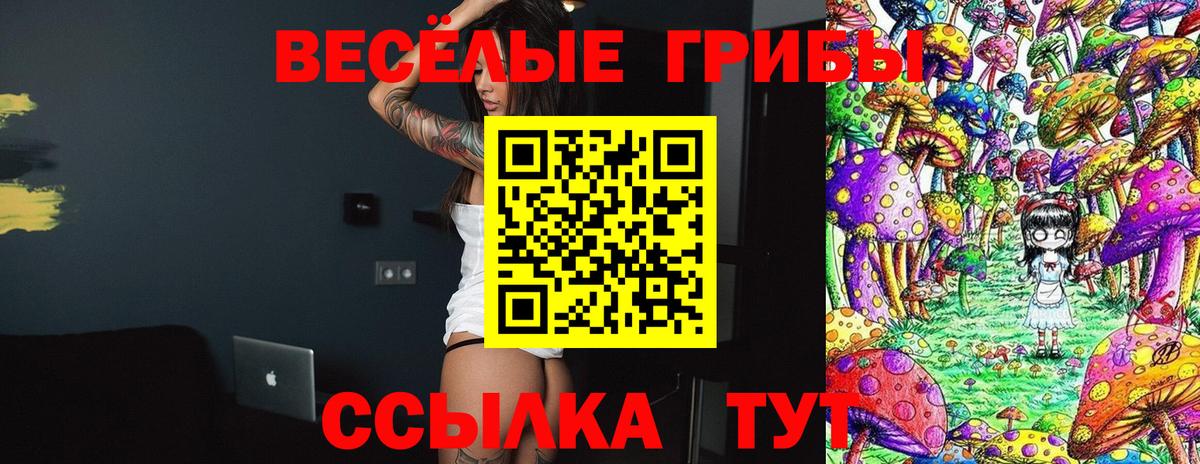 Галлюциногенные грибы Magic Shrooms  Вход с VPN  где купить наркоту  Елец 